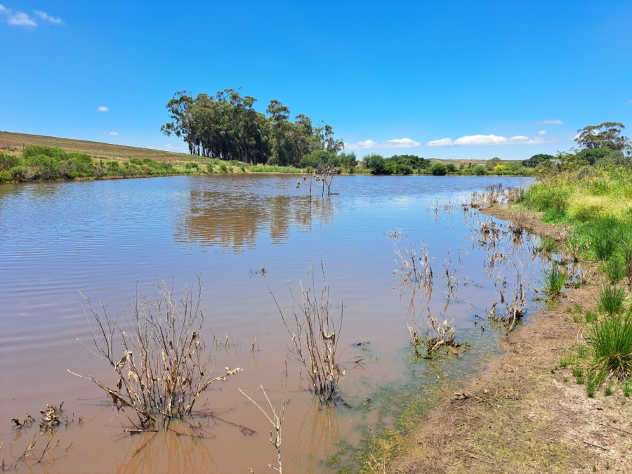 17 Bedroom Property for Sale in Riversdale Rural Western Cape